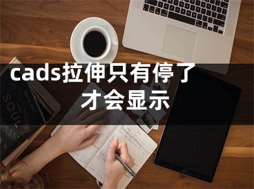 cads拉伸只有停了才會顯示