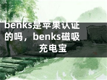 benks是蘋果認證的嗎，benks磁吸充電寶