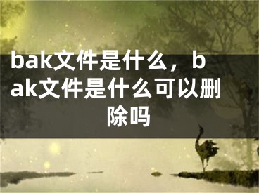 bak文件是什么，bak文件是什么可以刪除嗎