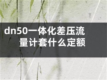 dn50一體化差壓流量計套什么定額