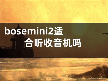 bosemini2適合聽收音機(jī)嗎