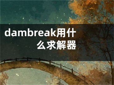 dambreak用什么求解器