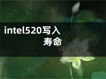 intel520寫入壽命