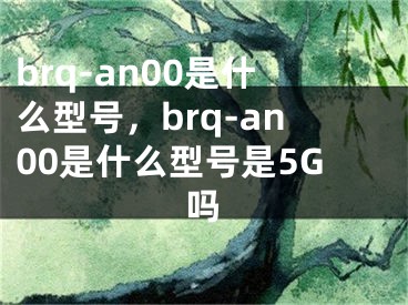 brq-an00是什么型號，brq-an00是什么型號是5G嗎