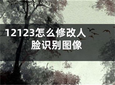 12123怎么修改人臉識別圖像