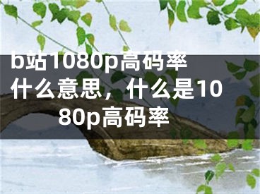 b站1080p高碼率什么意思，什么是1080p高碼率