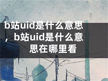 b站uid是什么意思，b站uid是什么意思在哪里看