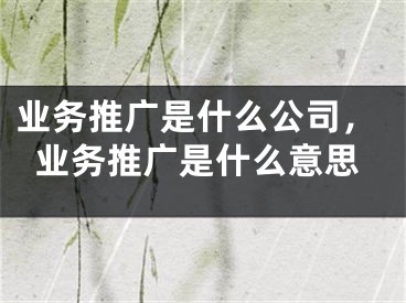 業(yè)務(wù)推廣是什么公司，業(yè)務(wù)推廣是什么意思