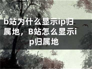 b站為什么顯示ip歸屬地，B站怎么顯示ip歸屬地