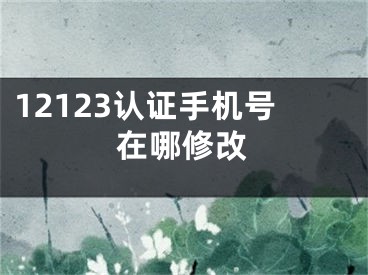 12123認證手機號在哪修改