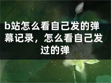 b站怎么看自己發(fā)的彈幕記錄，怎么看自己發(fā)過(guò)的彈