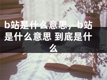 b站是什么意思，b站是什么意思 到底是什么