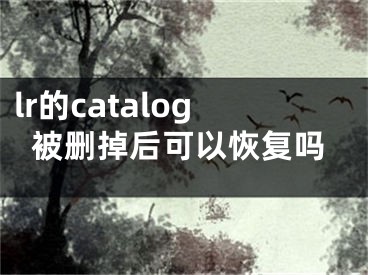 lr的catalog被刪掉后可以恢復(fù)嗎