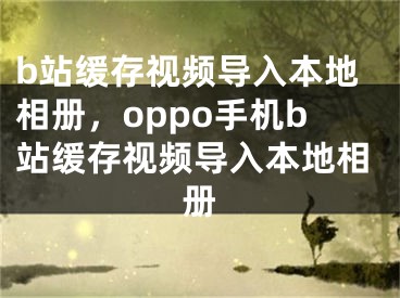 b站緩存視頻導(dǎo)入本地相冊，oppo手機b站緩存視頻導(dǎo)入本地相冊