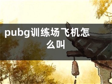 pubg訓(xùn)練場(chǎng)飛機(jī)怎么叫