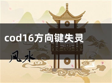 cod16方向鍵失靈