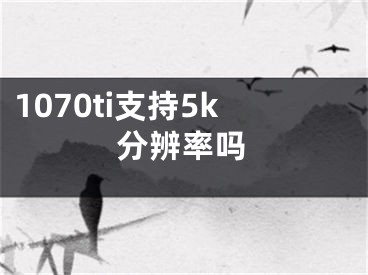 1070ti支持5k分辨率嗎