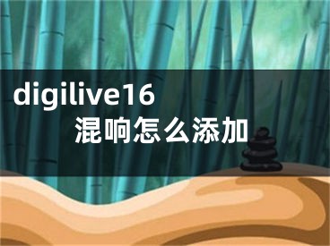 digilive16混響怎么添加