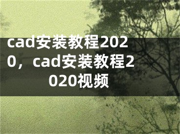 cad安裝教程2020，cad安裝教程2020視頻