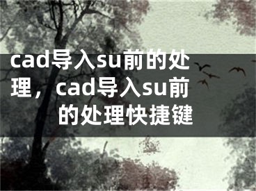 cad導(dǎo)入su前的處理，cad導(dǎo)入su前的處理快捷鍵