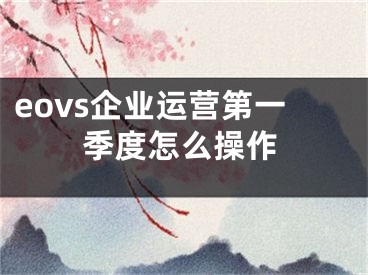 eovs企業(yè)運(yùn)營(yíng)第一季度怎么操作