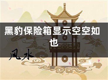 黑豹保險(xiǎn)箱顯示空空如也