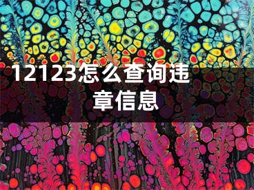 12123怎么查詢違章信息