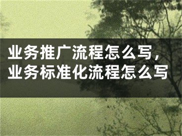 業(yè)務(wù)推廣流程怎么寫，業(yè)務(wù)標(biāo)準(zhǔn)化流程怎么寫