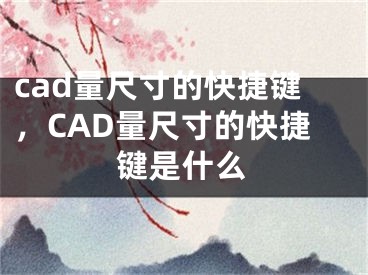 cad量尺寸的快捷鍵，CAD量尺寸的快捷鍵是什么