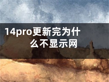 14pro更新完為什么不顯示網(wǎng)