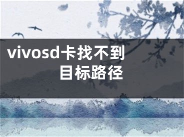 vivosd卡找不到目標(biāo)路徑