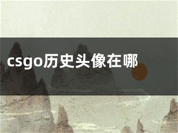 csgo歷史頭像在哪