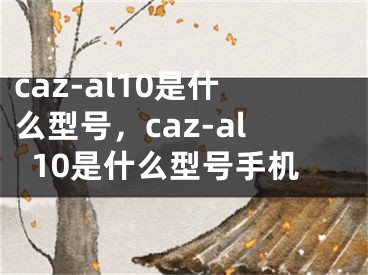 caz-al10是什么型號，caz-al10是什么型號手機