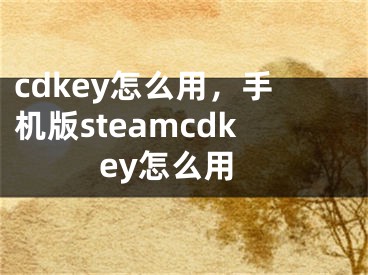 cdkey怎么用，手機版steamcdkey怎么用