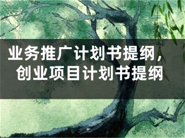 業(yè)務(wù)推廣計劃書提綱，創(chuàng)業(yè)項目計劃書提綱