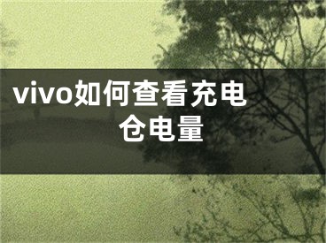 vivo如何查看充電倉電量