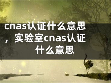 cnas認(rèn)證什么意思，實(shí)驗(yàn)室cnas認(rèn)證什么意思