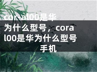 cor-al00是華為什么型號(hào)，coral00是華為什么型號(hào)手機(jī)