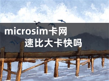 microsim卡網(wǎng)速比大卡快嗎