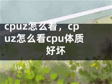 cpuz怎么看，cpuz怎么看cpu體質(zhì)好壞