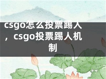 csgo怎么投票踢人，csgo投票踢人機制