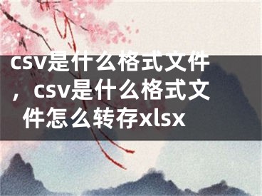 csv是什么格式文件，csv是什么格式文件怎么轉(zhuǎn)存xlsx