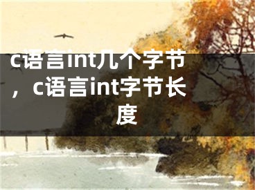 c語言int幾個字節(jié)，c語言int字節(jié)長度