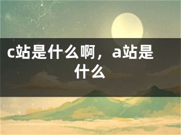 c站是什么啊，a站是什么