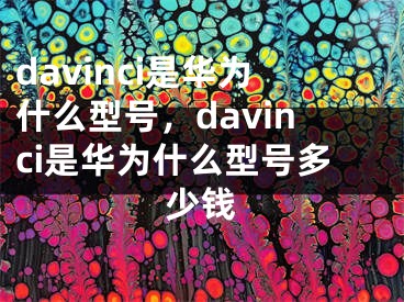 davinci是華為什么型號，davinci是華為什么型號多少錢