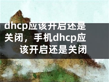 dhcp應(yīng)該開啟還是關(guān)閉，手機(jī)dhcp應(yīng)該開啟還是關(guān)閉