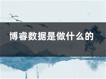 博睿數(shù)據(jù)是做什么的