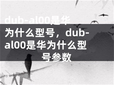 dub-al00是華為什么型號，dub-al00是華為什么型號參數(shù)