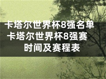 卡塔爾世界杯8強名單 卡塔爾世界杯8強賽時間及賽程表