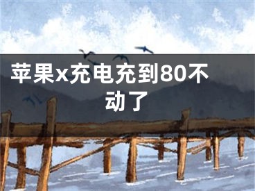 蘋果x充電充到80不動(dòng)了